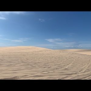 Meet your Posher, Alexus